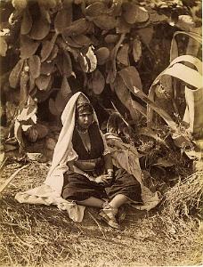 Oran 034